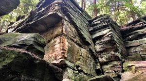 AtwellInvestigations_Gallery (50)
